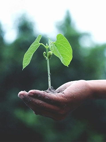 Our sustainability promise