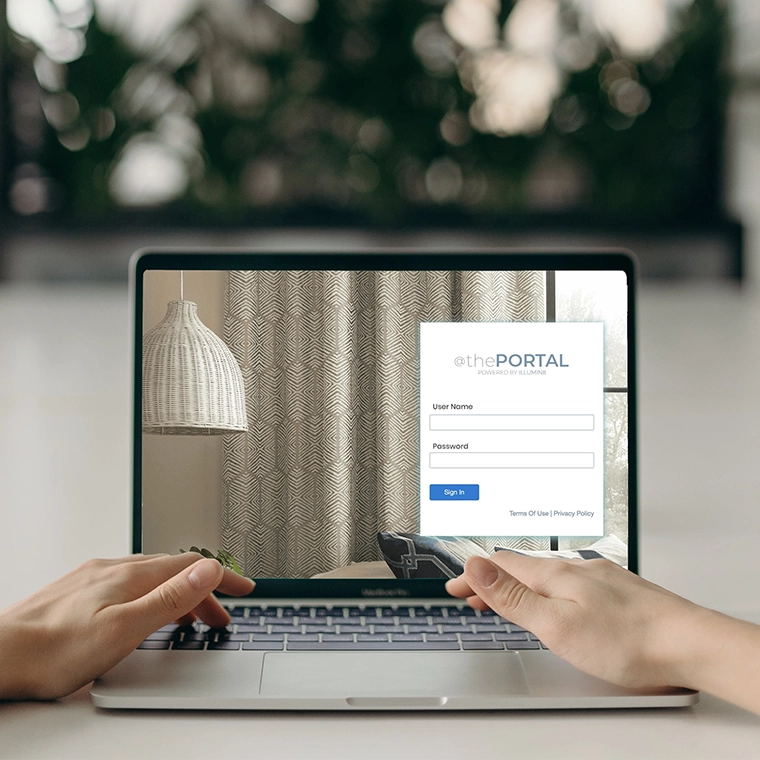 illumin8 will support your business online